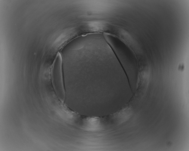 X0000111380325200907171228