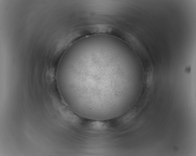 X0000111380326200907171228