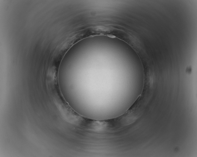 X0000111380328200907171228