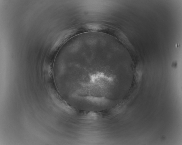 X0000111380330200907171228