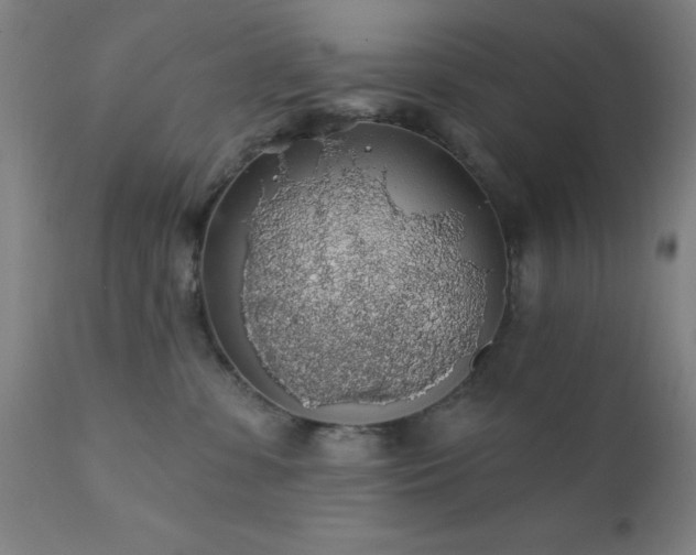 X0000111380331200907171228