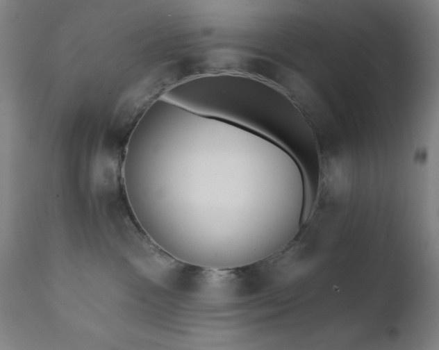 X0000111380333200907171228