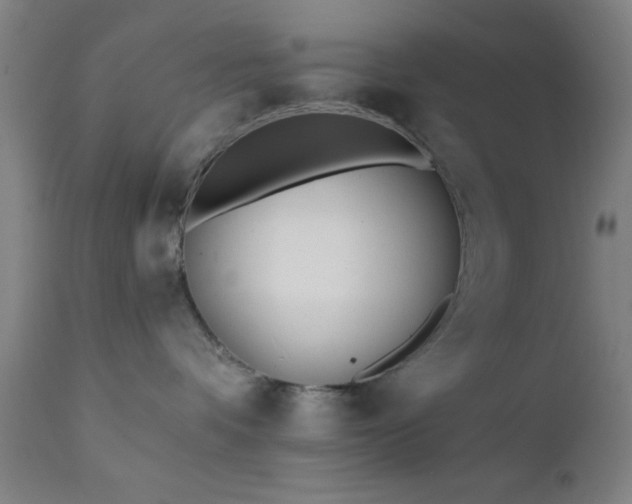 X0000111380336200907171228