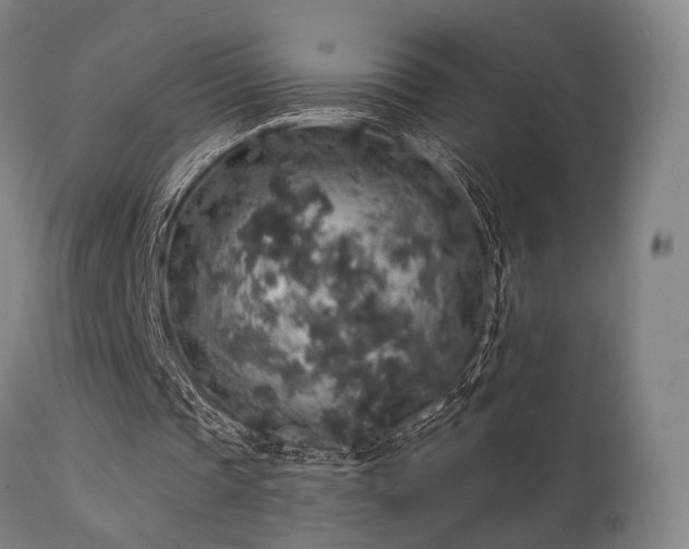 X0000111380337200907171227