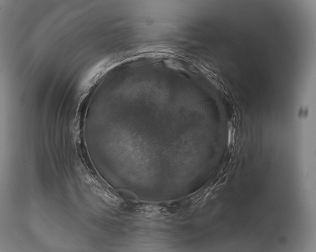 X0000111380339200907171227