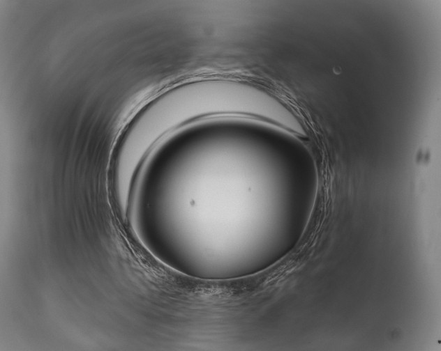 X0000111380340200907171227