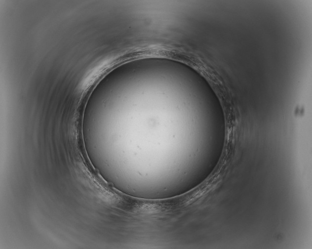 X0000111380341200907171227