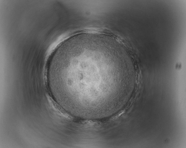 X0000111380343200907171227