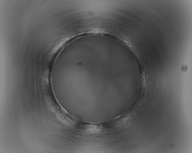 X0000111380347200907171227