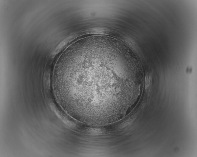 X0000111380349200907171227