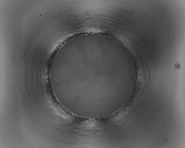 X0000111380351200907171227