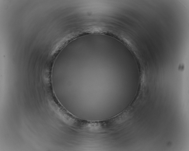 X0000111380353200907171227