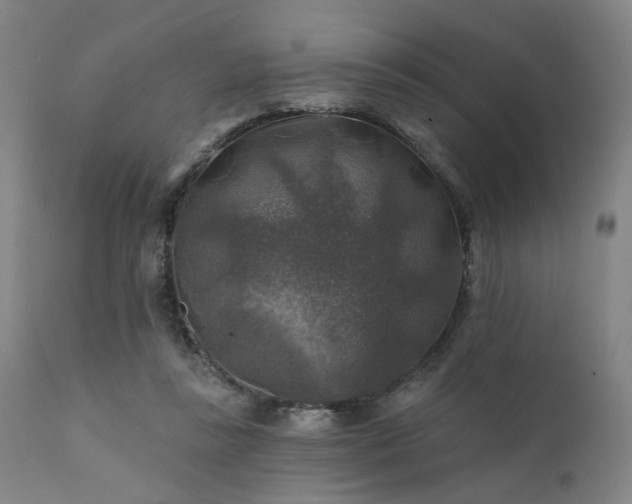 X0000111380355200907171228