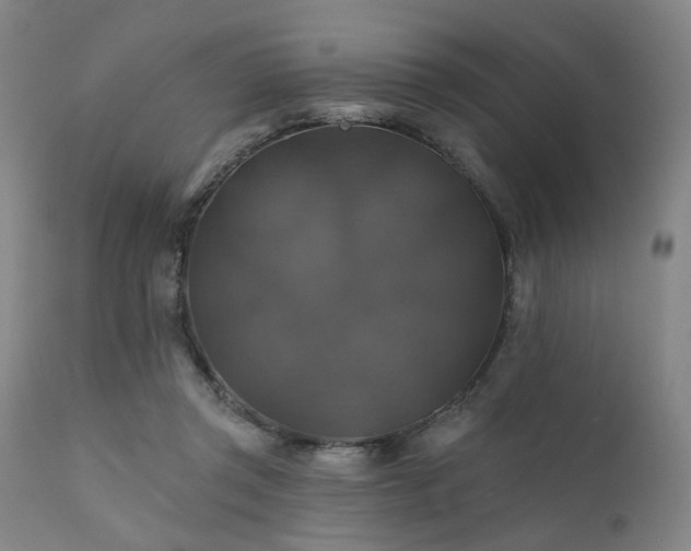 X0000111380357200907171228