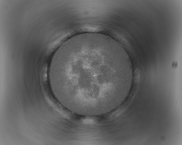 X0000111380358200907171228