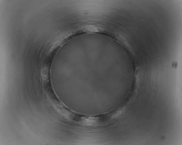 X0000111380359200907171228