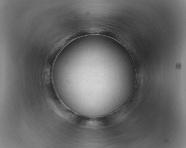 X0000111380360200907171228