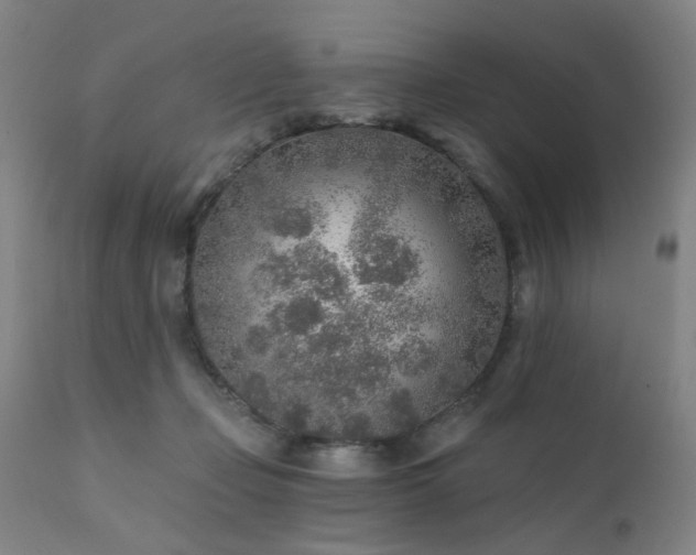 X0000111380365200907171228