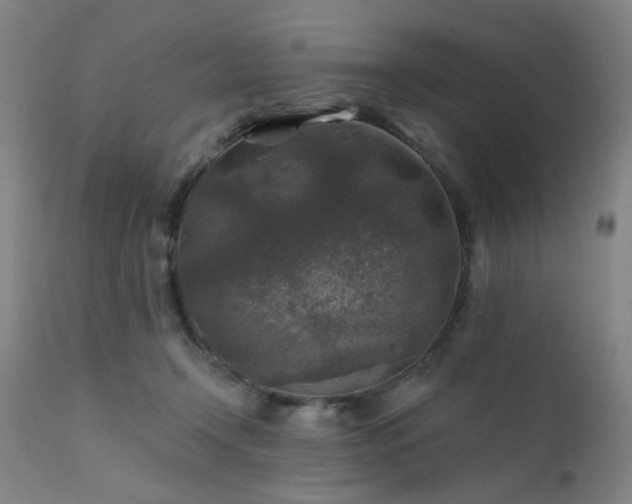 X0000111380366200907171228