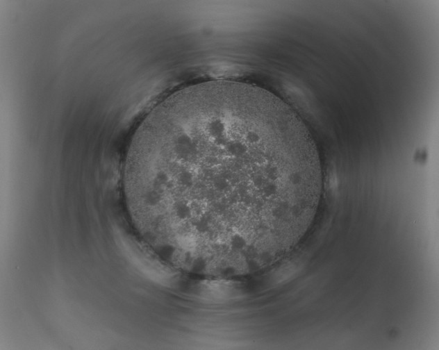 X0000111380367200907171228