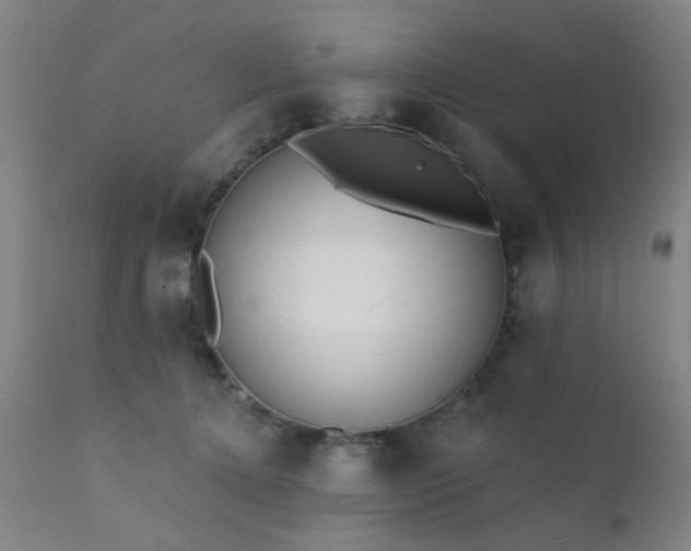 X0000111380368200907171228