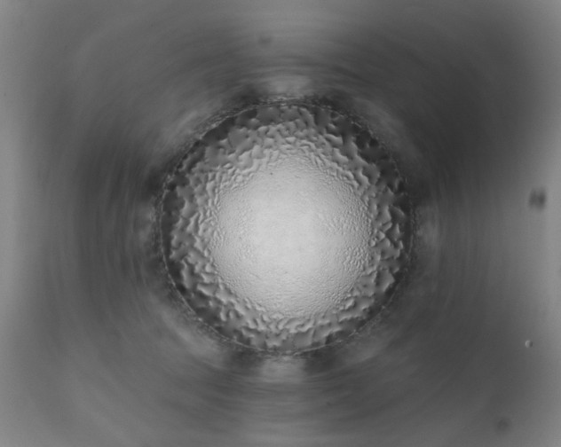 X0000111380369200907171228