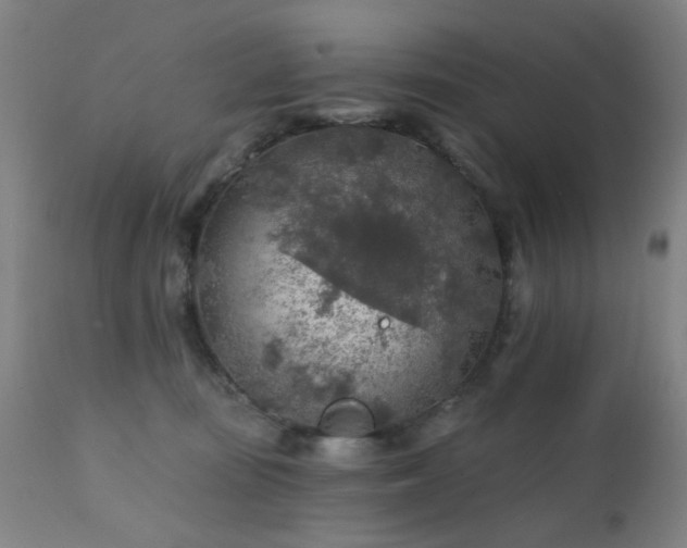 X0000111380371200907171228