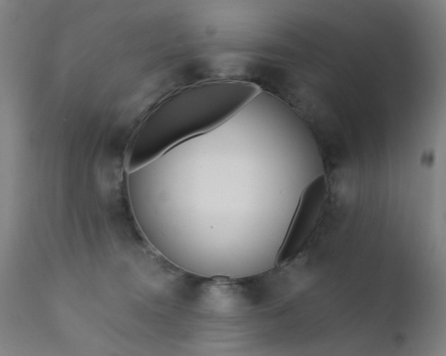 X0000111380372200907171228