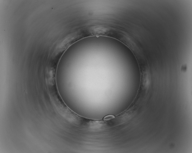 X0000111380378200907171228