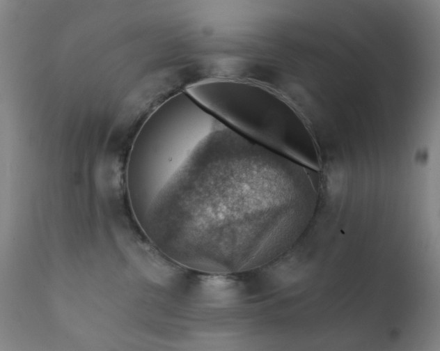 X0000111380380200907171228