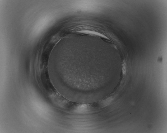 X0000111380382200907171228