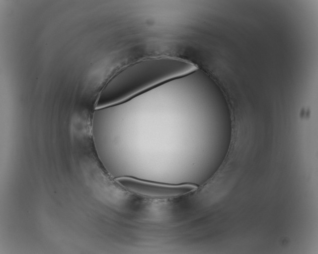 X0000111380384200907171228