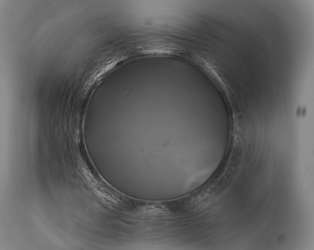 X0000111380386200907171227