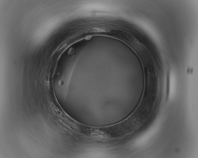 X0000111380387200907171227