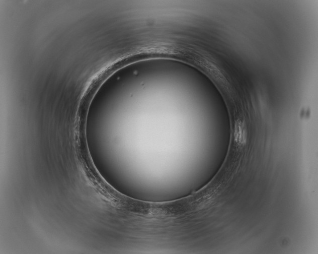 X0000111380388200907171227