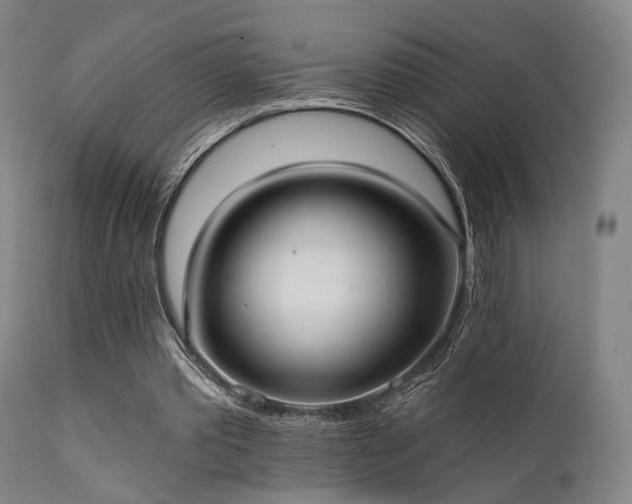 X0000111380389200907171227