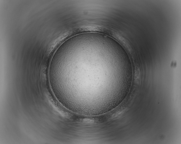 X0000111380394200907171227