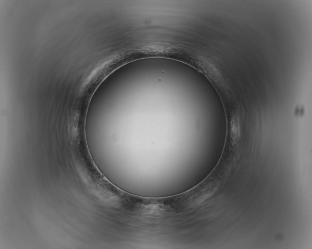 X0000111380396200907171227