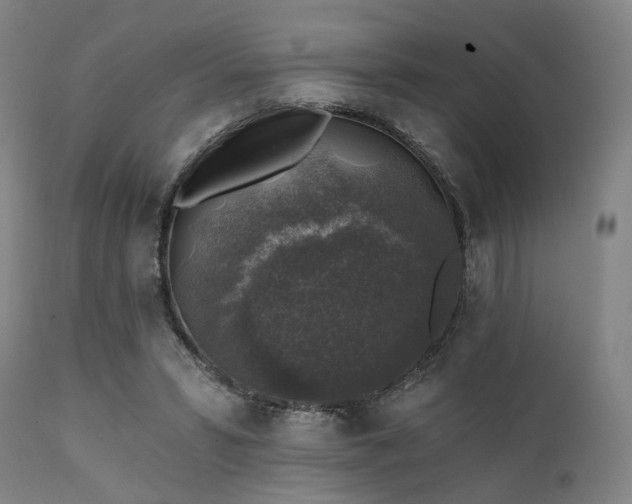 X0000111380399200907171227