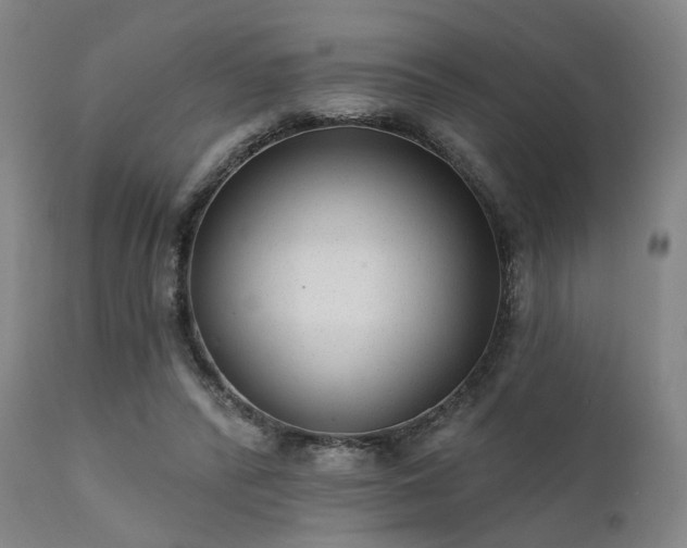 X0000111380400200907171227