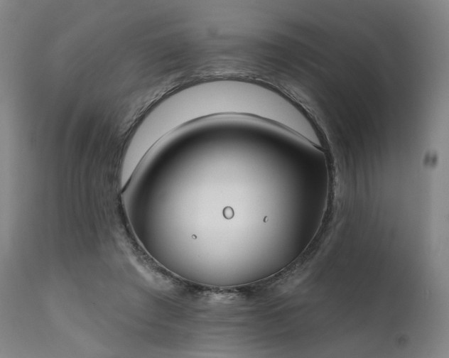 X0000111380401200907171227