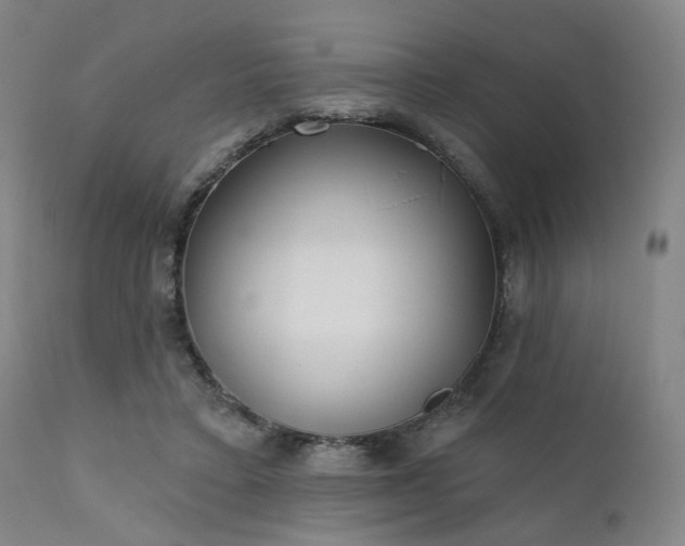 X0000111380403200907171227