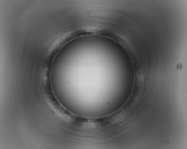 X0000111380404200907171227