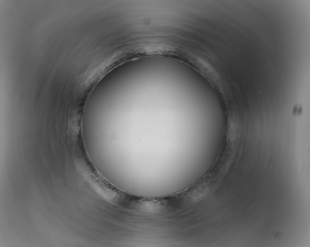 X0000111380405200907171227