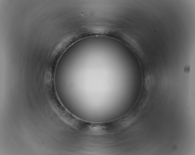 X0000111380407200907171227