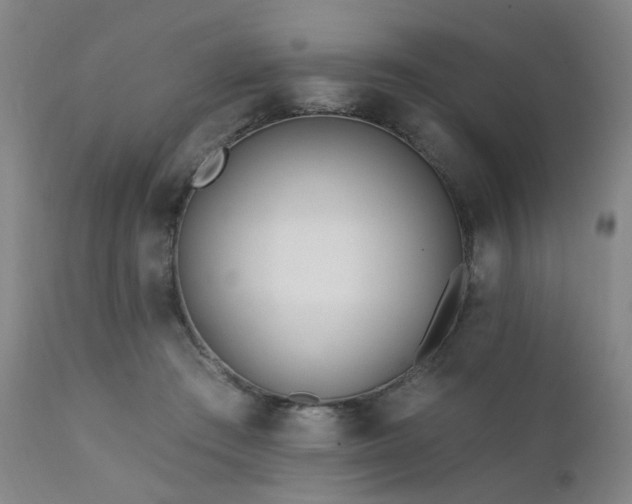 X0000111380409200907171227