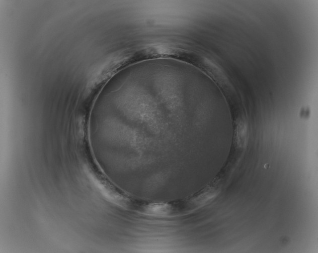 X0000111380410200907171227