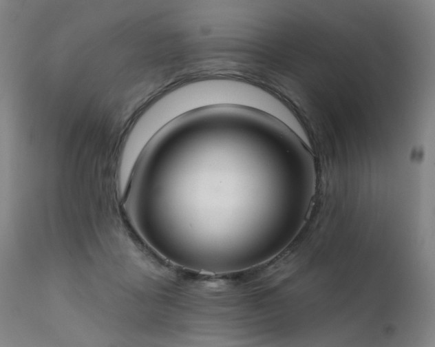 X0000111380411200907171227