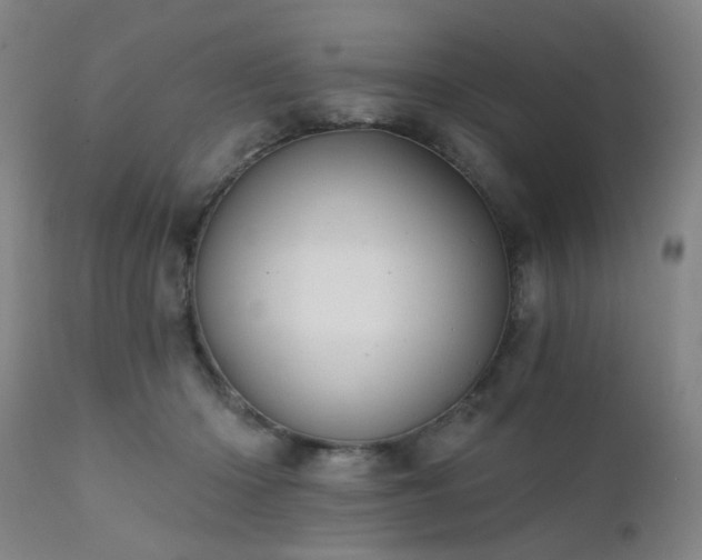 X0000111380414200907171227