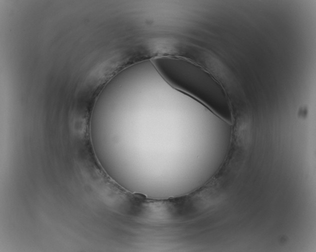 X0000111380417200907171227